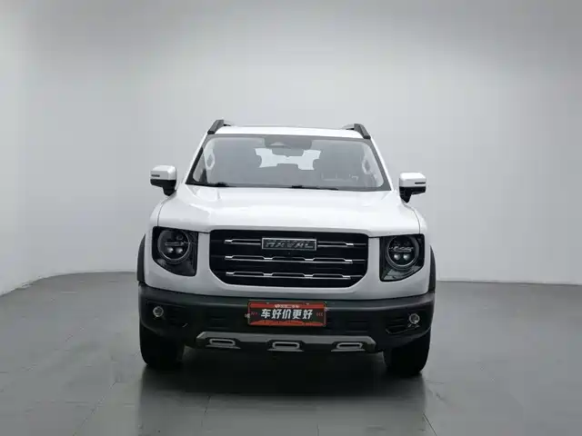 Haval Big Dog 2022 2.0T DCT AWD Chinese Pastoral Dog Edition — фото 3