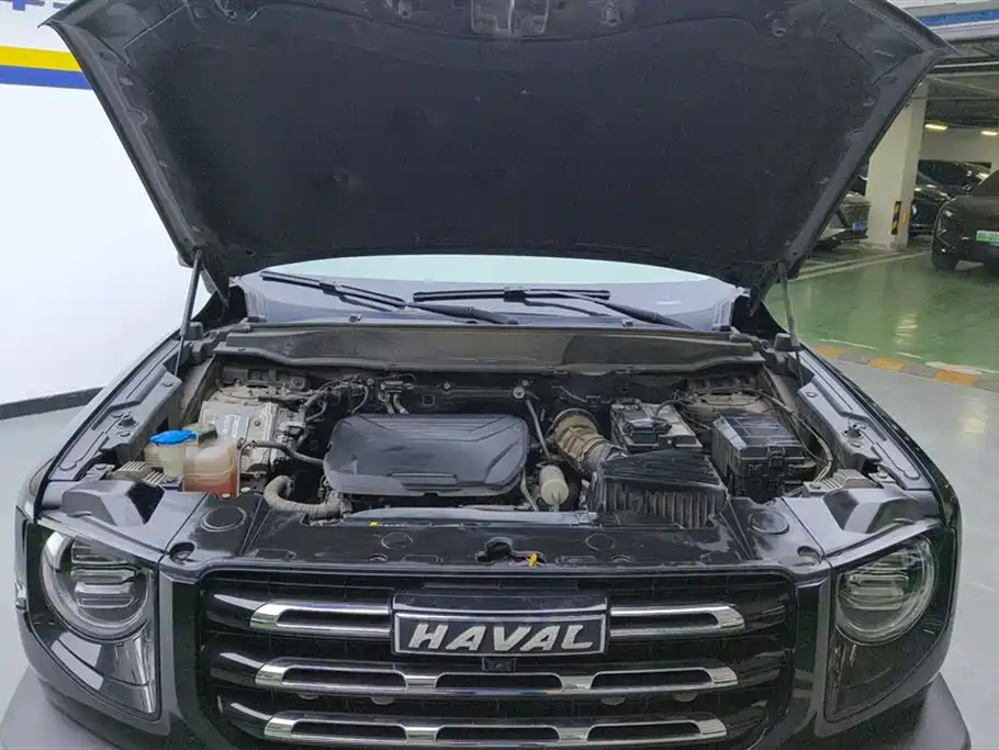 Haval Big Dog 2022 1.5T DCT FWD Border Collie Edition фото 10