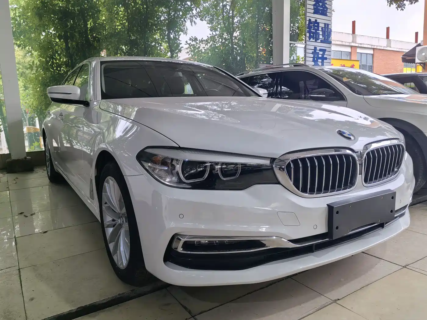 BMW 5 Series 2019 530Li Leading Luxury Package фото 3