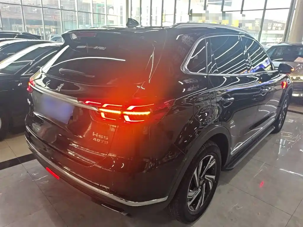Hongqi HS5 2022 2.0T Smart Connect Premium Edition фото 7