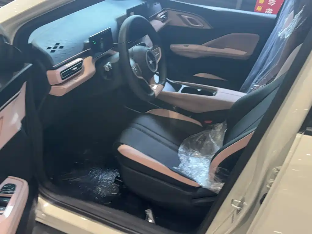 BYD Seagull 2026 2025 Smart Drive Edition 305km Vitality Version