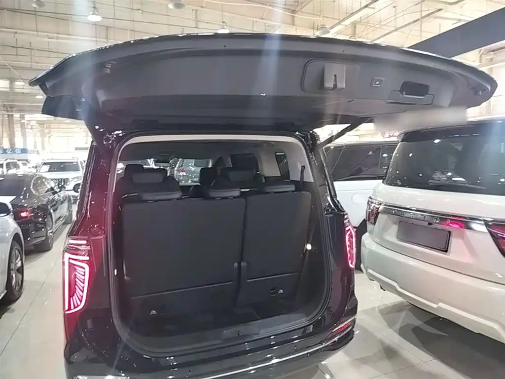 Hongqi HQ9 2023 2.0T Smart Connect Flagship фото 19
