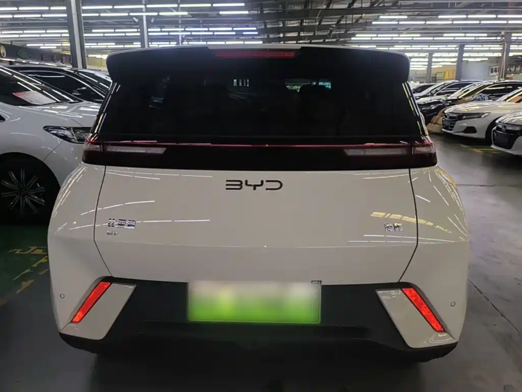 BYD Seagull 2024 Glory Edition 305km Freedom Edition фото 6