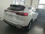 Фото 7 - Haval H6