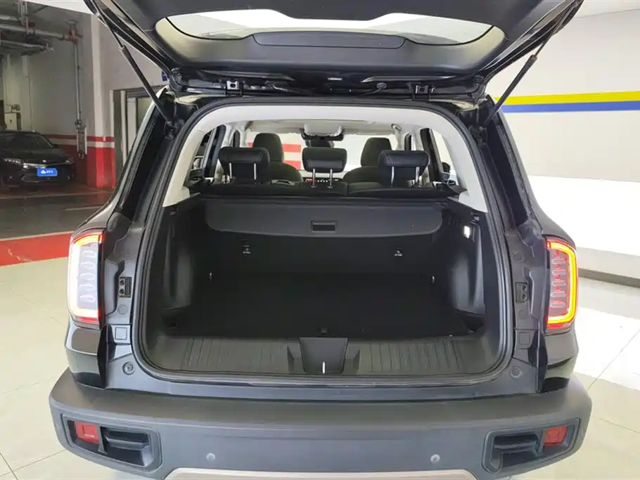 Haval Big Dog 2021 1.5T DCT 2WD Border Collie - Wangcai Edition фото 4