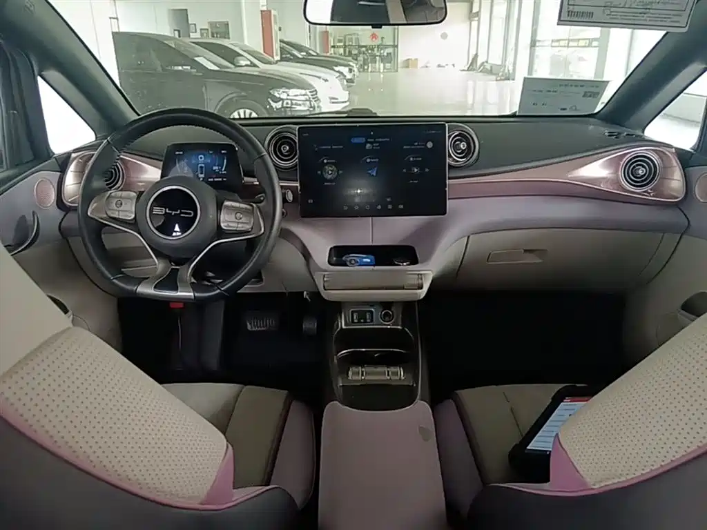 BYD Dolphin 2023 420km Freedom Edition фото 10