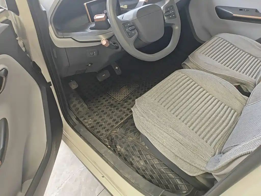 Baojun E200 2019 2019 250KM Smart Edition