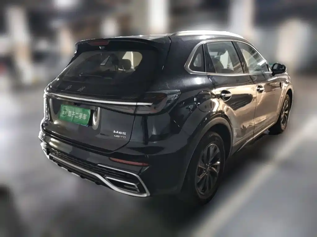 Hongqi HS5 2025 2025 2.0T 2WD Qixiang Pro