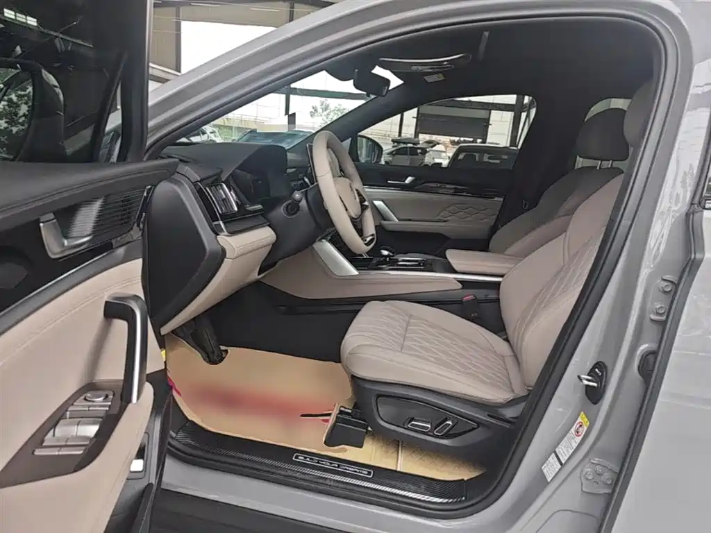 BYD Tang New Energy 2025 DM-i 115KM Premium фото 16