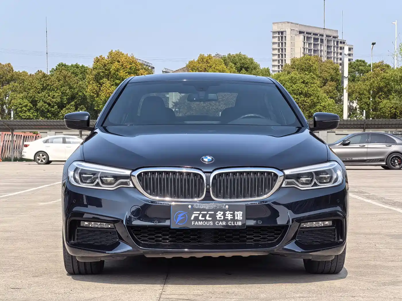 BMW 5 Series 2019 530Li Premium M Sport Package фото 2
