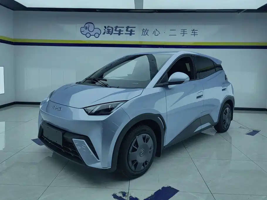 BYD Seagull 2024 Glory Edition 305km Vitality Edition