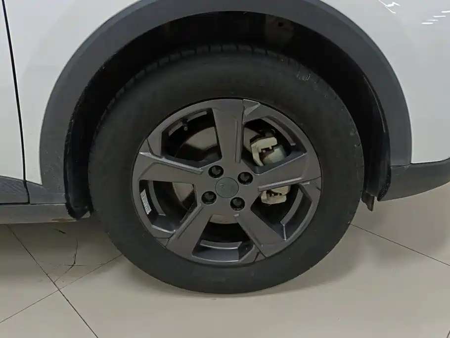 Фото 6 - Geely Geometry E Firefly