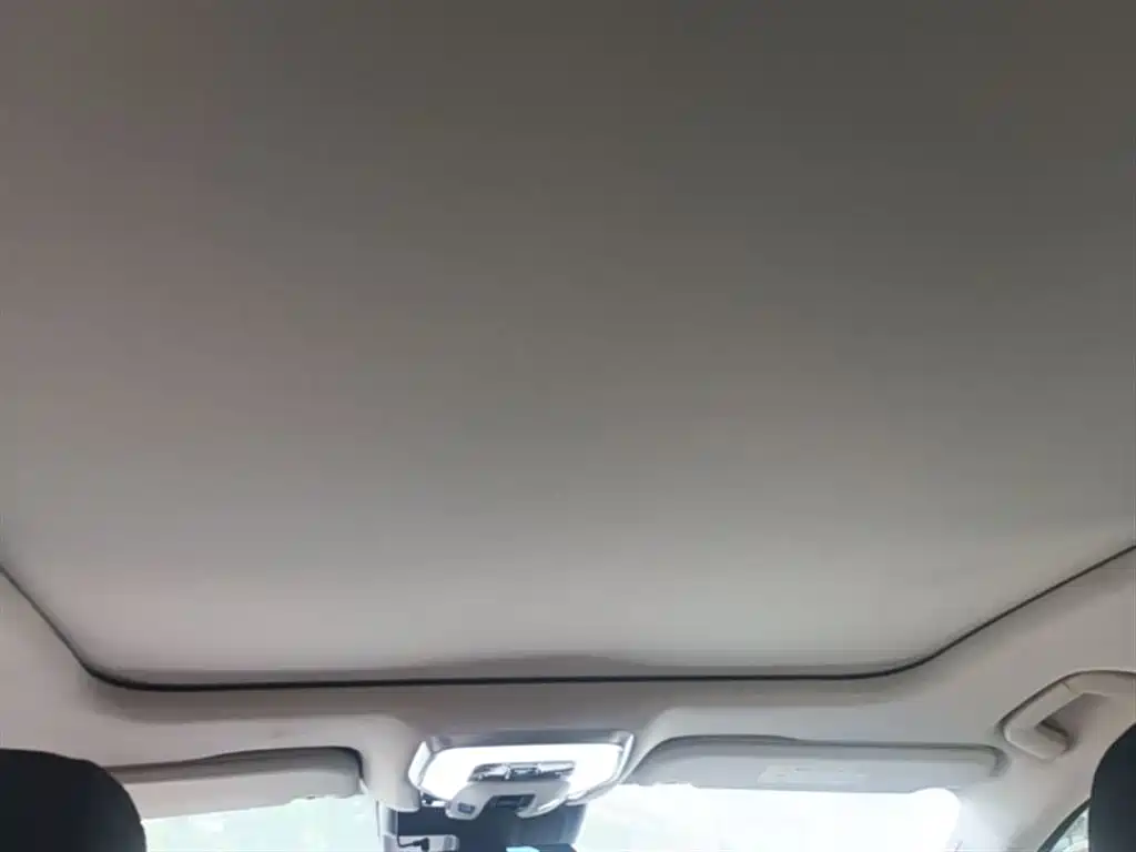 Hongqi H5 2024 2.0T Automatic Smart Connect Flag Smooth Edition фото 11