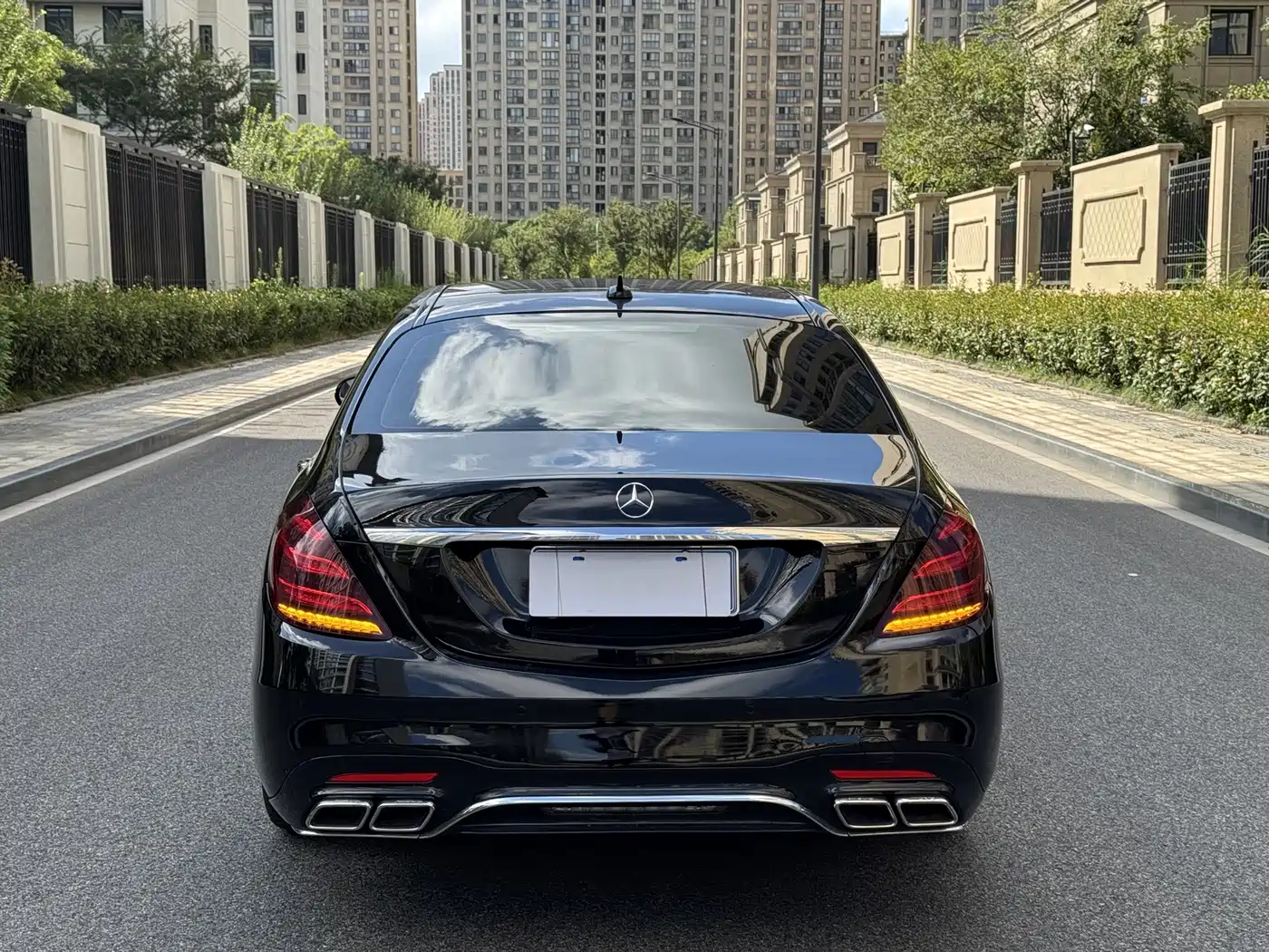 Mercedes-Benz S-Class 2020 S 350 L Business Edition Collector's Version фото 4