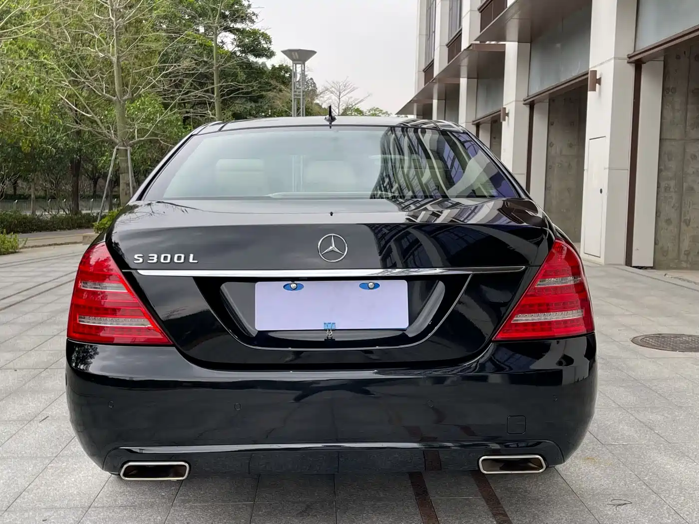 Mercedes-Benz S-Class 2010 S 300 L Business фото 8