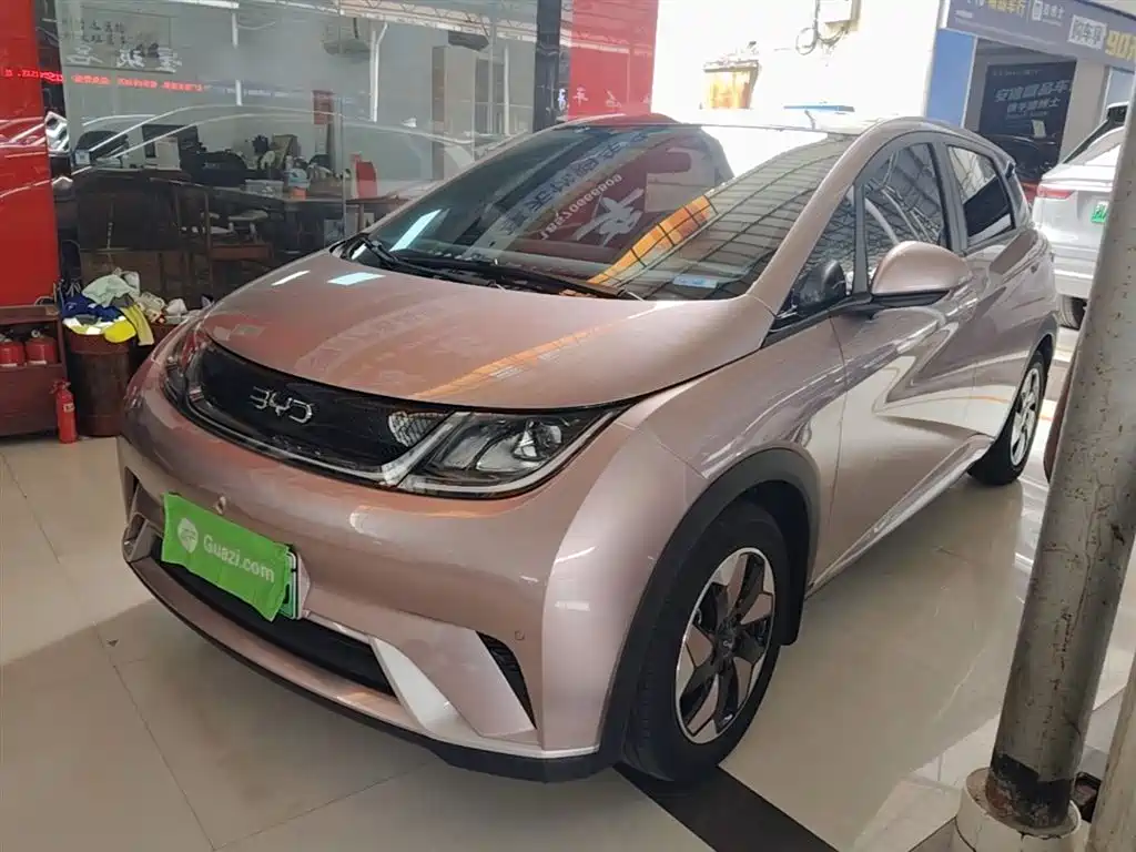 BYD Dolphin 2025 420km Fashion Edition фото 2
