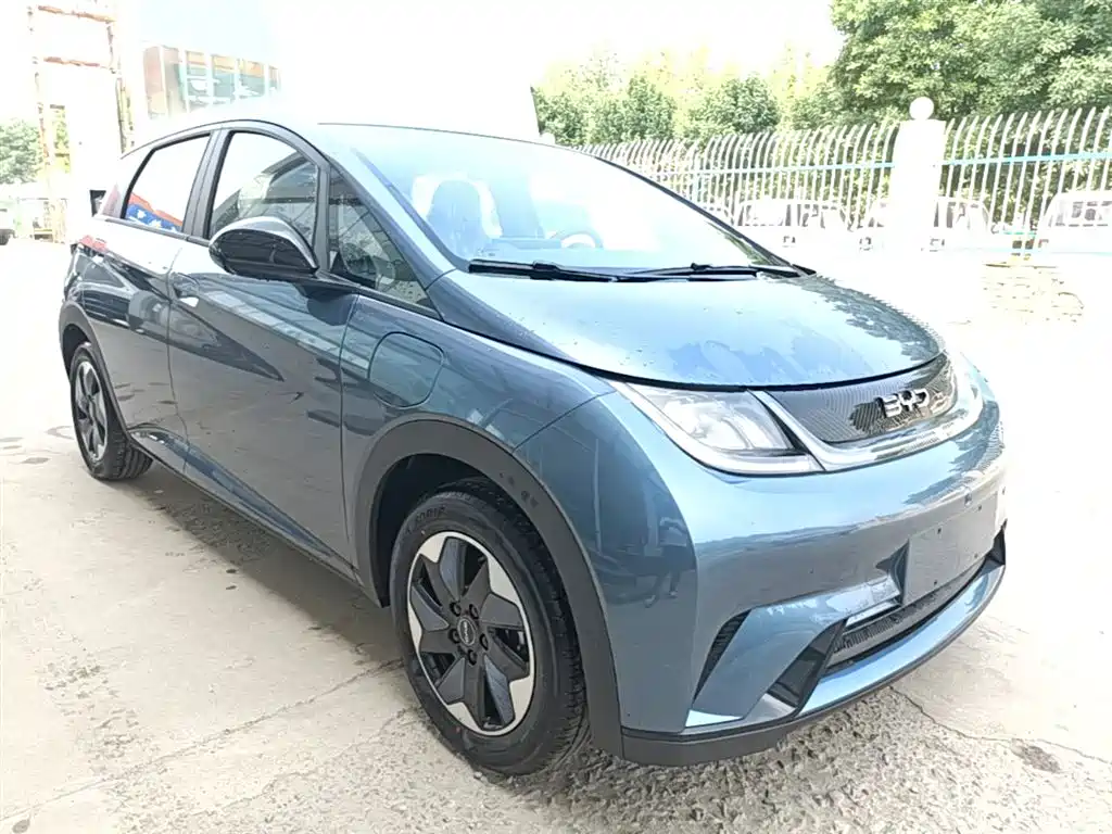BYD Dolphin 2025 420km Freedom Edition фото 4