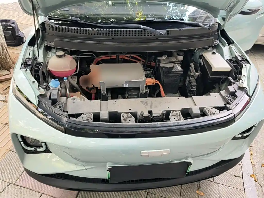 Geely Geometry E Firefly 2024 2024 Model 301km Starlight