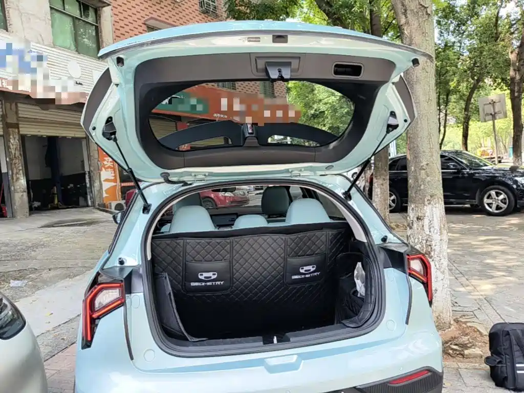 Geely Geometry E Firefly 2024 2024 Model 301km Starlight