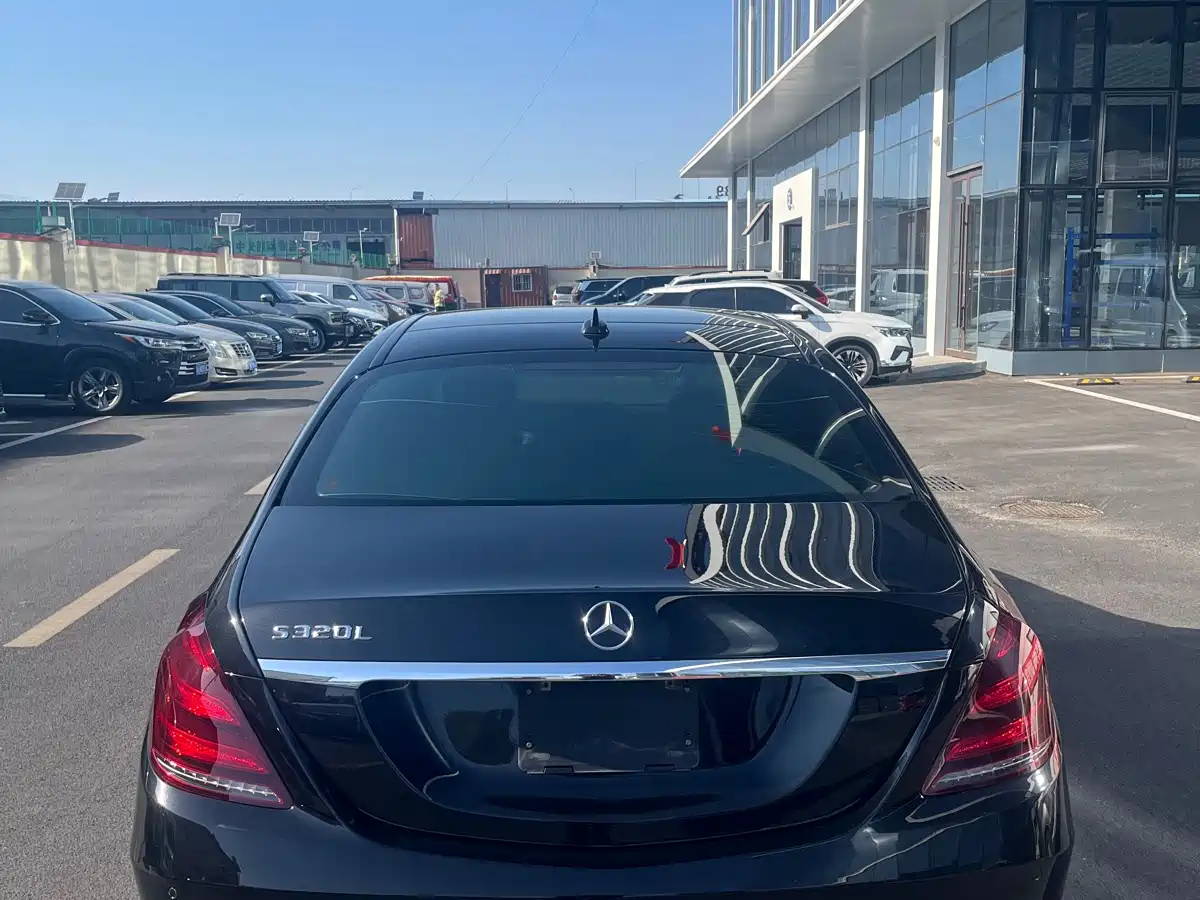 Mercedes-Benz S-Class 2016 S 320 L Luxury фото 5