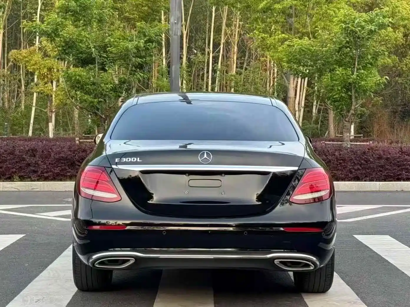 Mercedes-Benz E-Class 2020 E 300 L Fashion фото 8