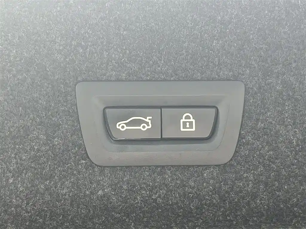 BMW 3 Series 2020 325Li M Sport Package фото 29