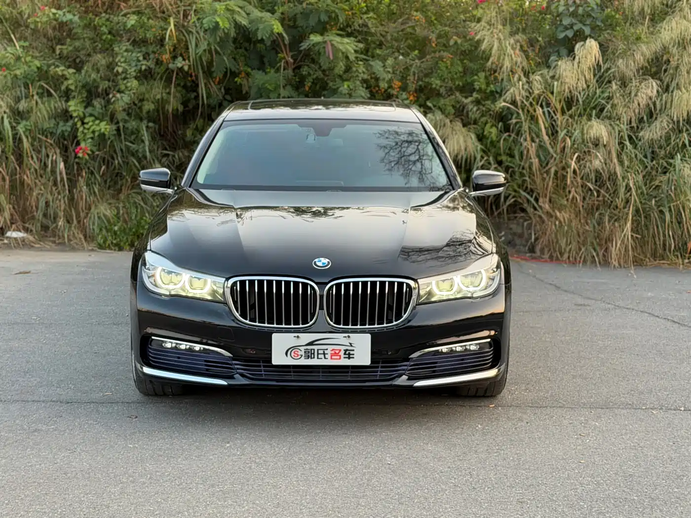 BMW 7 Series 2017 730Li Leading Edition фото 2