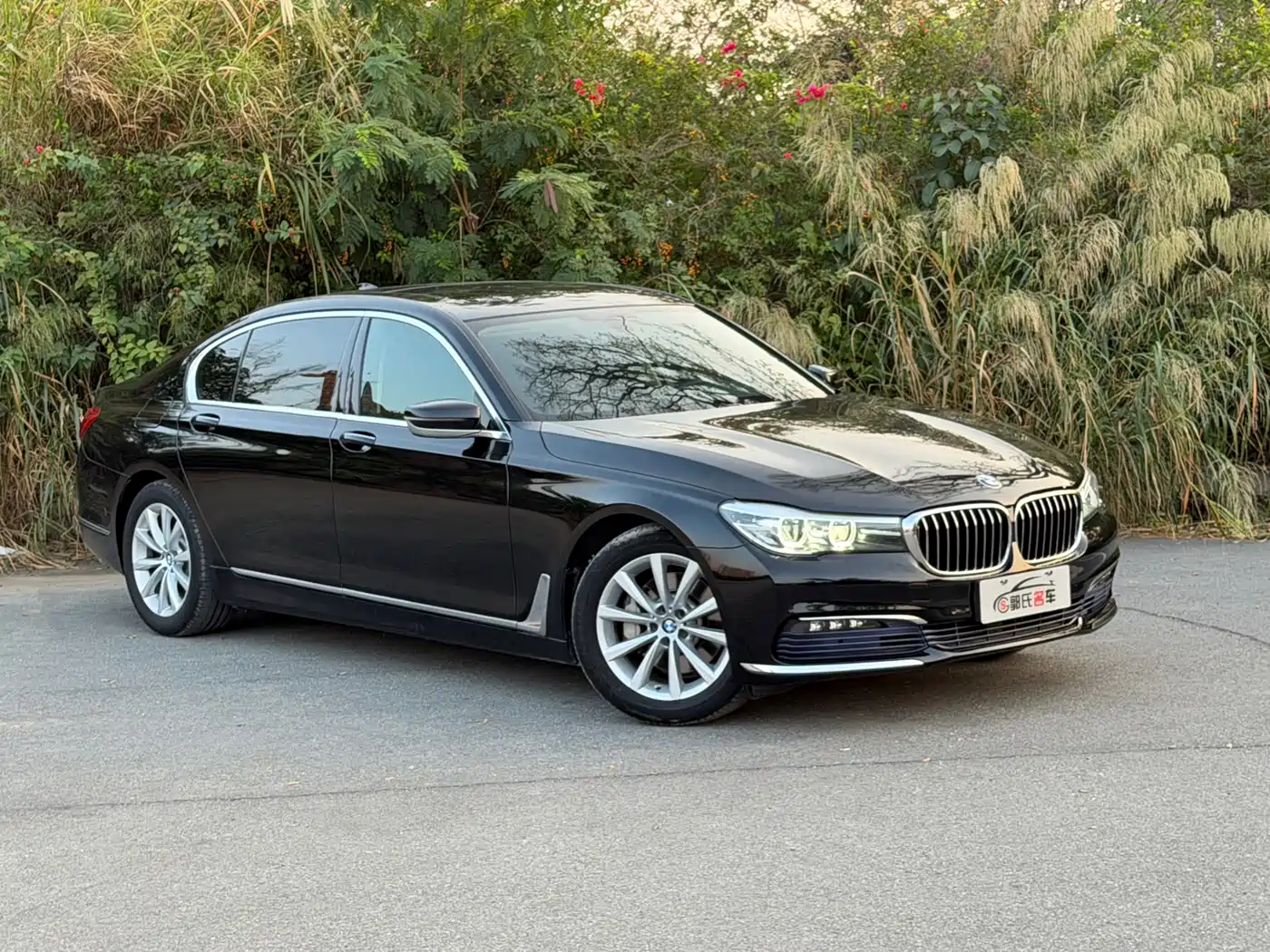 BMW 7 Series 2017 730Li Leading Edition фото 3