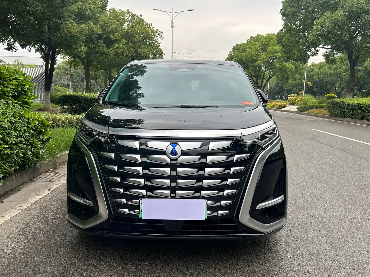 Denza D9 2024 DM-i 980 AWD Prestige фото 2