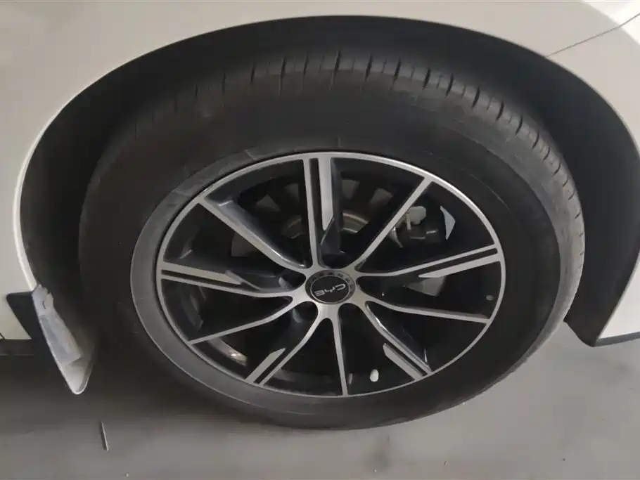 BYD Seal 06 New Energy 2024 DM-i 80KM Prestige фото 6