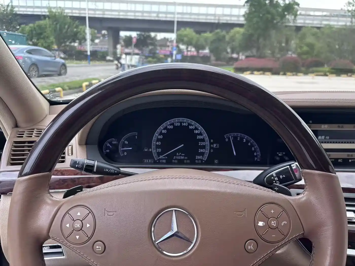 Mercedes-Benz S-Class 2010 S 350 L Luxury фото 15
