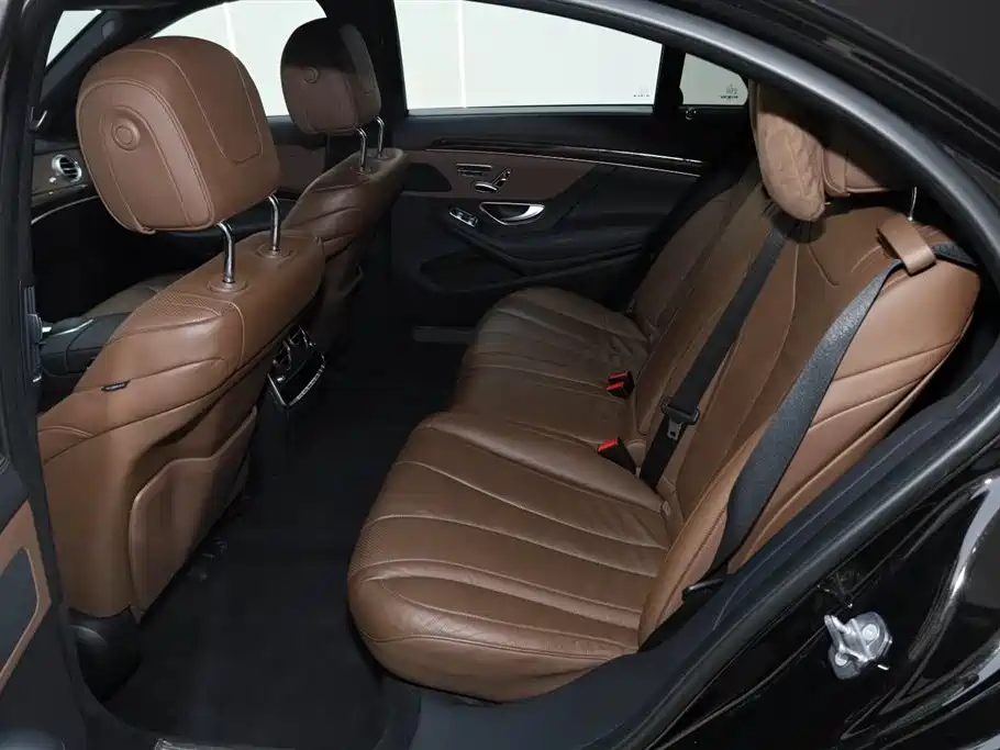 Mercedes-Benz S-Class 2020 S 350 L Business Edition Collector's Version фото 23