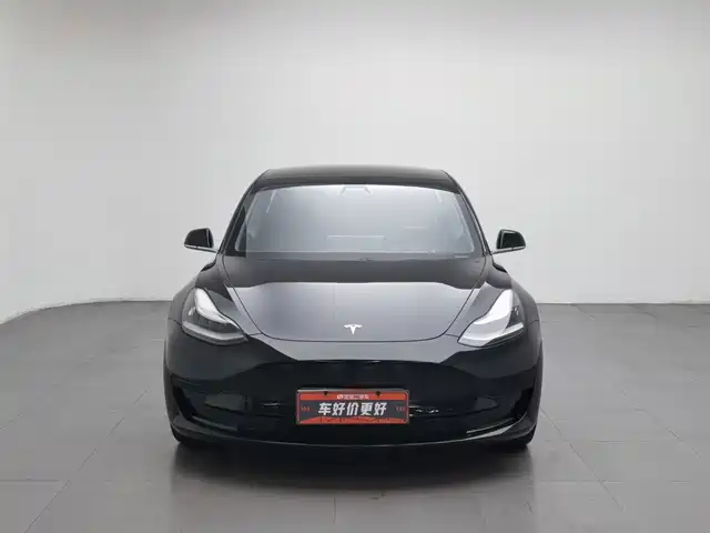 Tesla Model 3 2020 Standard Range Rear-Wheel Drive Upgrade — фото 3