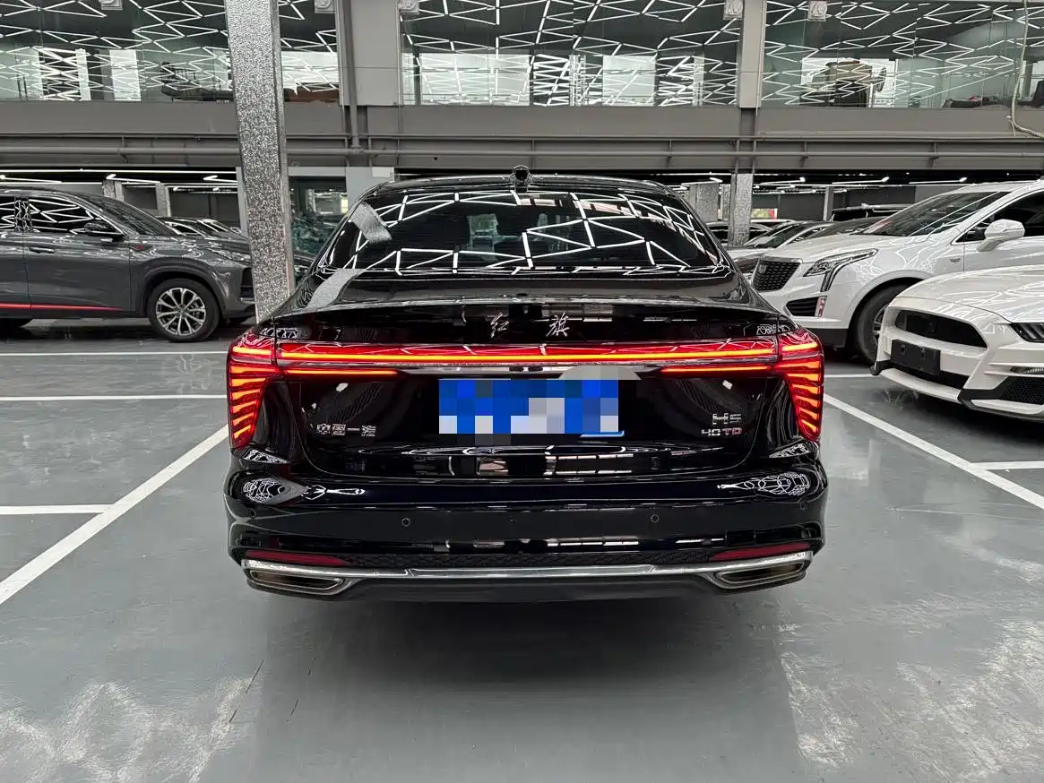 Hongqi H5 2025 2.0T Automatic Flag Celebration 500,000 Units Anniversary Edition фото 14