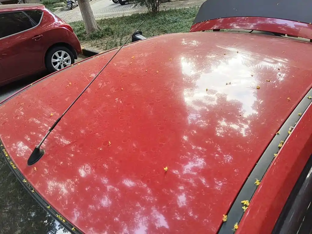 Фото 6 - Ford Focus