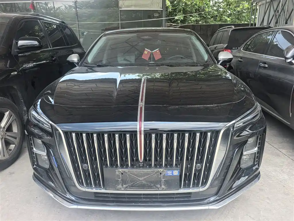 Hongqi H5 2024 2.0T Automatic Smart Connect Flag Smooth Edition фото 20