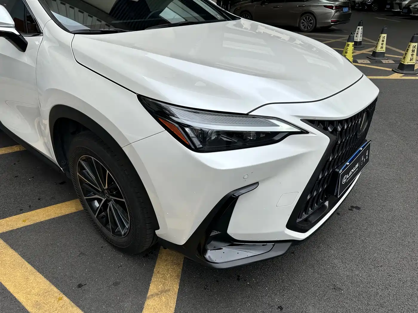 Lexus NX 2024 260 FWD Innovation Edition фото 3