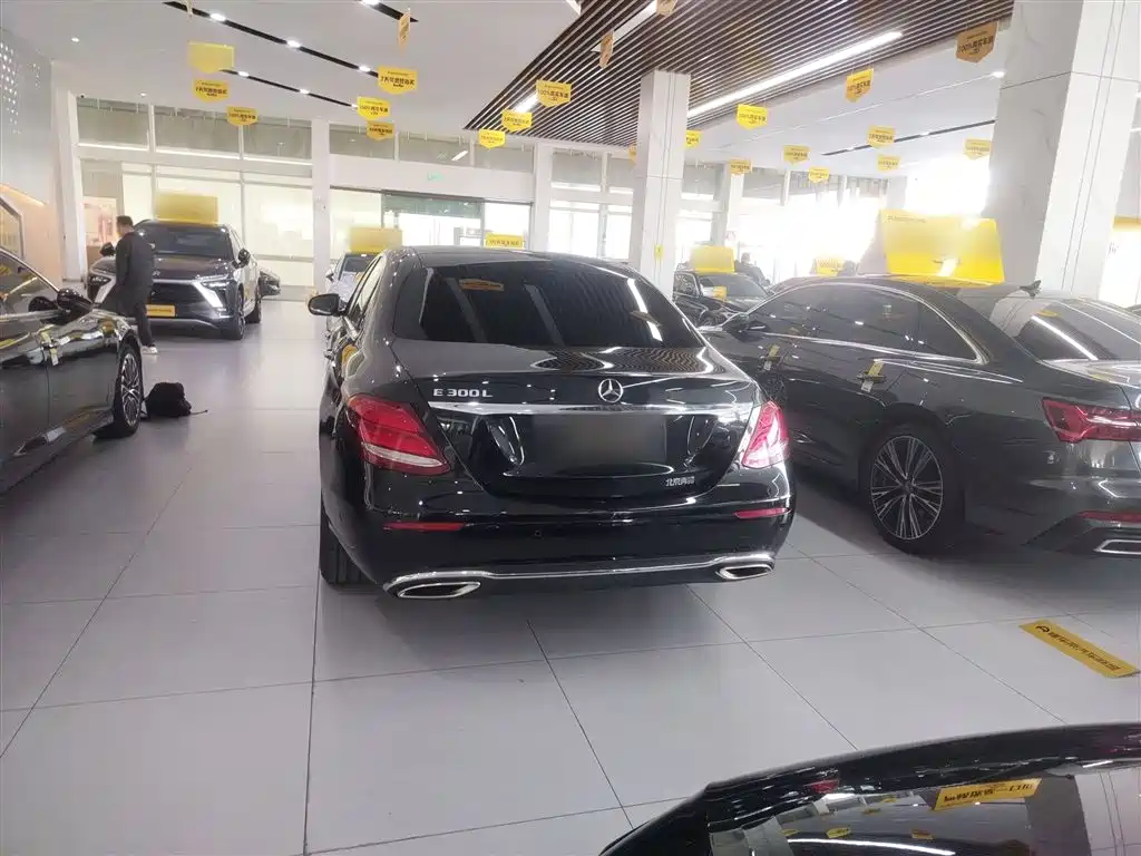 Mercedes-Benz E-Class 2016 E 300 L Luxury фото 22