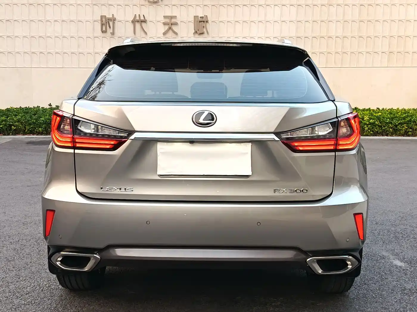 Lexus RX 2016 300 2WD Comfort Edition China VI фото 3