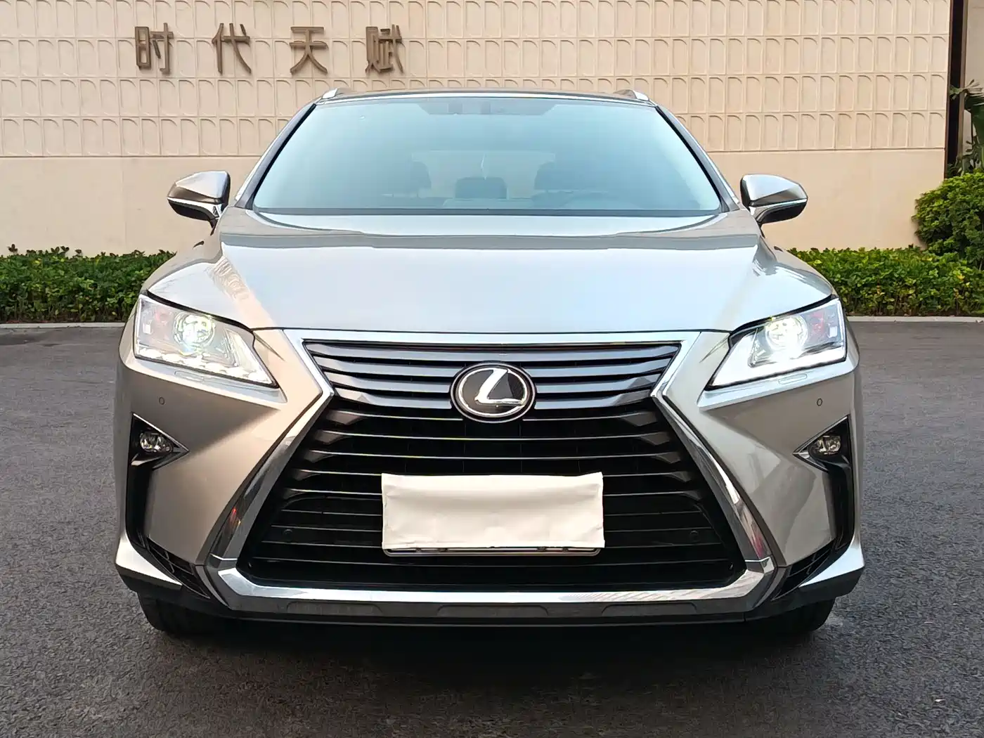 Lexus RX 2016 300 2WD Comfort Edition China VI фото 2