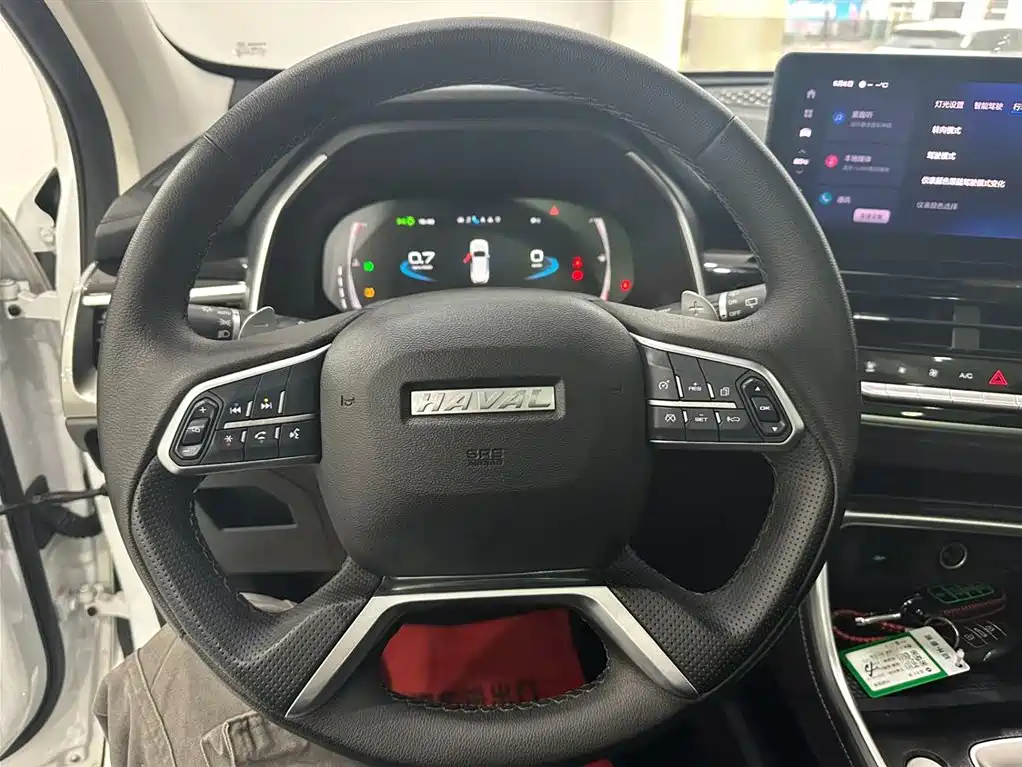 Haval H6 2023 National Trend Edition 1.5T Automatic Champion фото 16