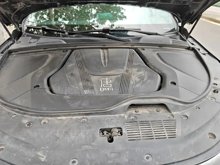 BYD Tang New Energy 2025 2025 Smart Driving Edition DM-i 115KM Honor