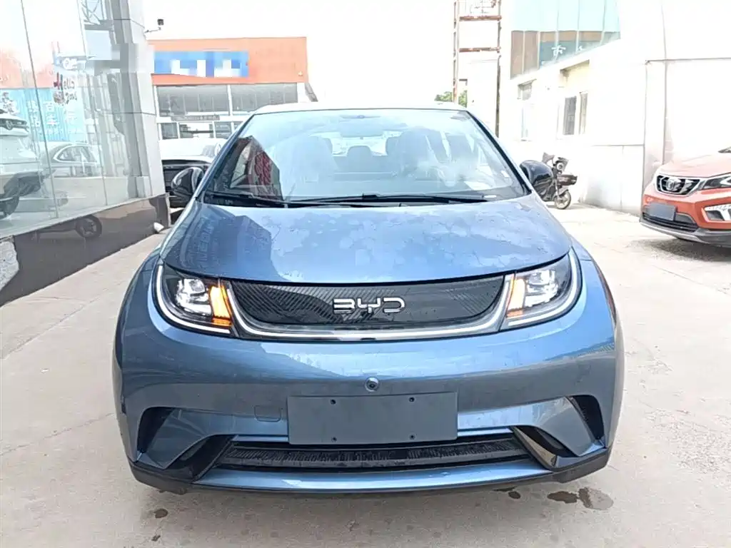 BYD Dolphin 2025 420km Freedom Edition фото 3