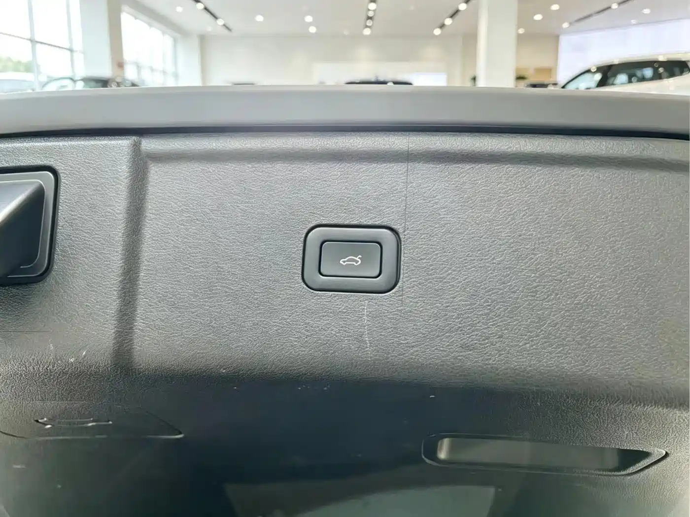 Hongqi HS5 2023 2.0T Flag Enjoy Pro Edition фото 13