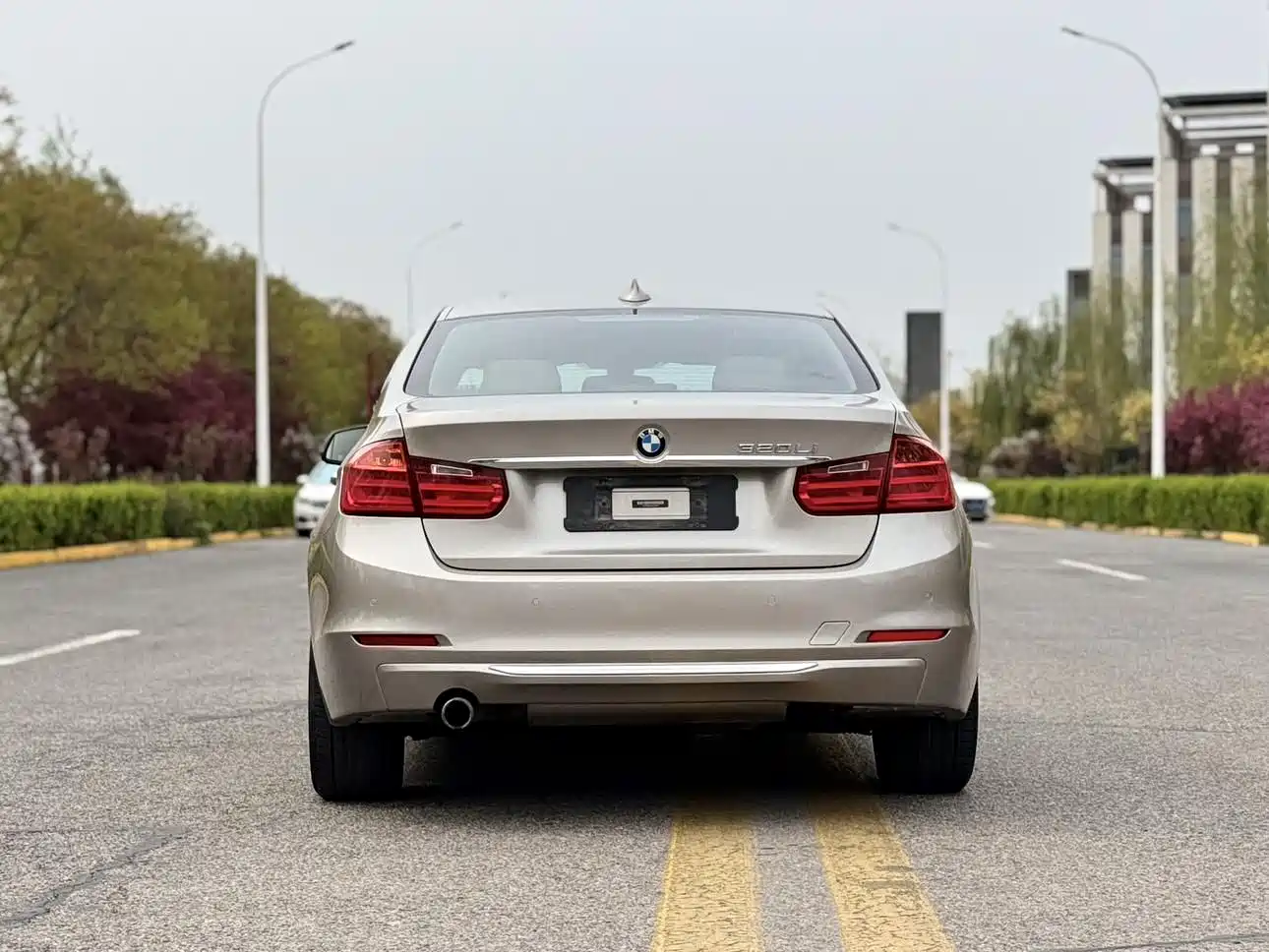 BMW 3 Series 2013 320Li Luxury Design Package фото 23