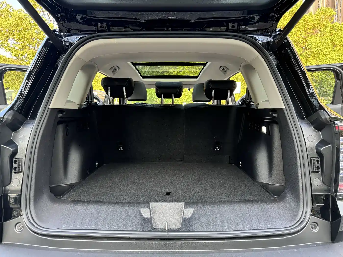 Haval Big Dog 2025 2022 1.5T DCT FWD Border Collie Edition