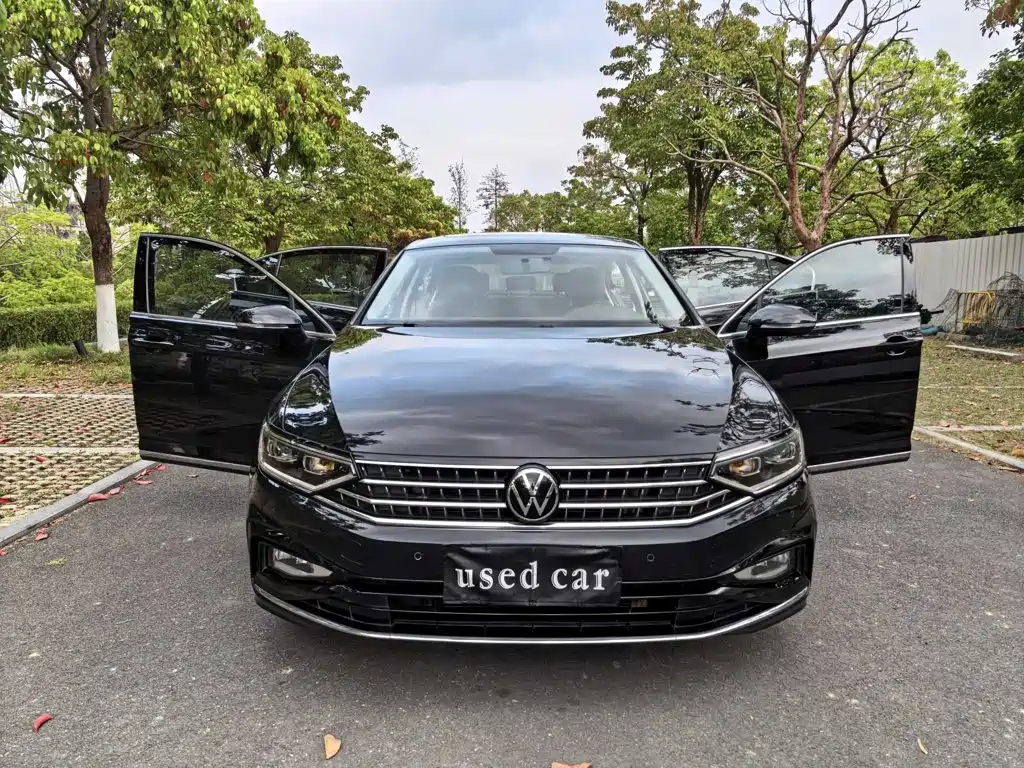 Volkswagen Magotan, миниатюра 2