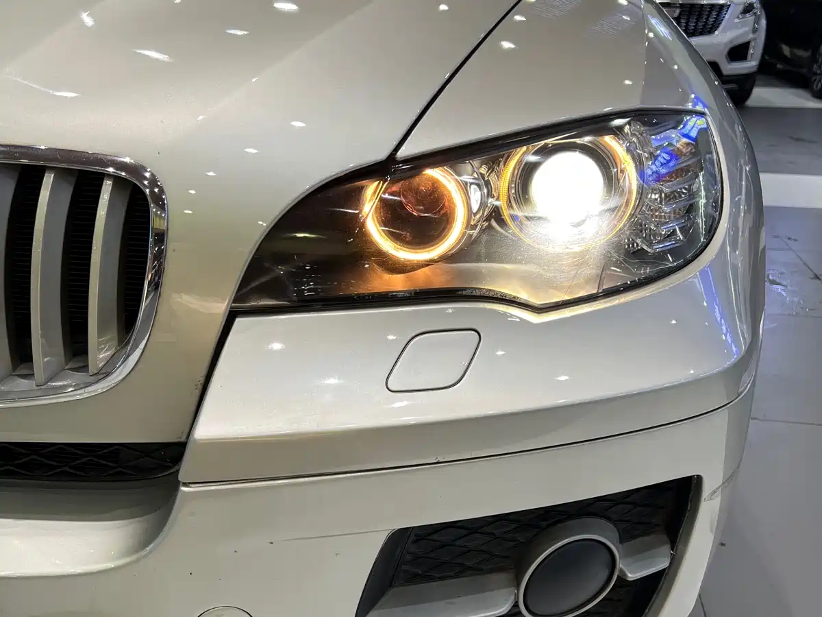 Photo 22 - BMW X6