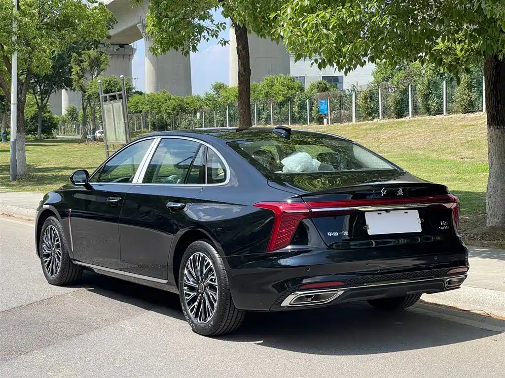 Hongqi H5 2025 2.0T Automatic Flag Celebration 500,000 Units Anniversary Edition фото 6