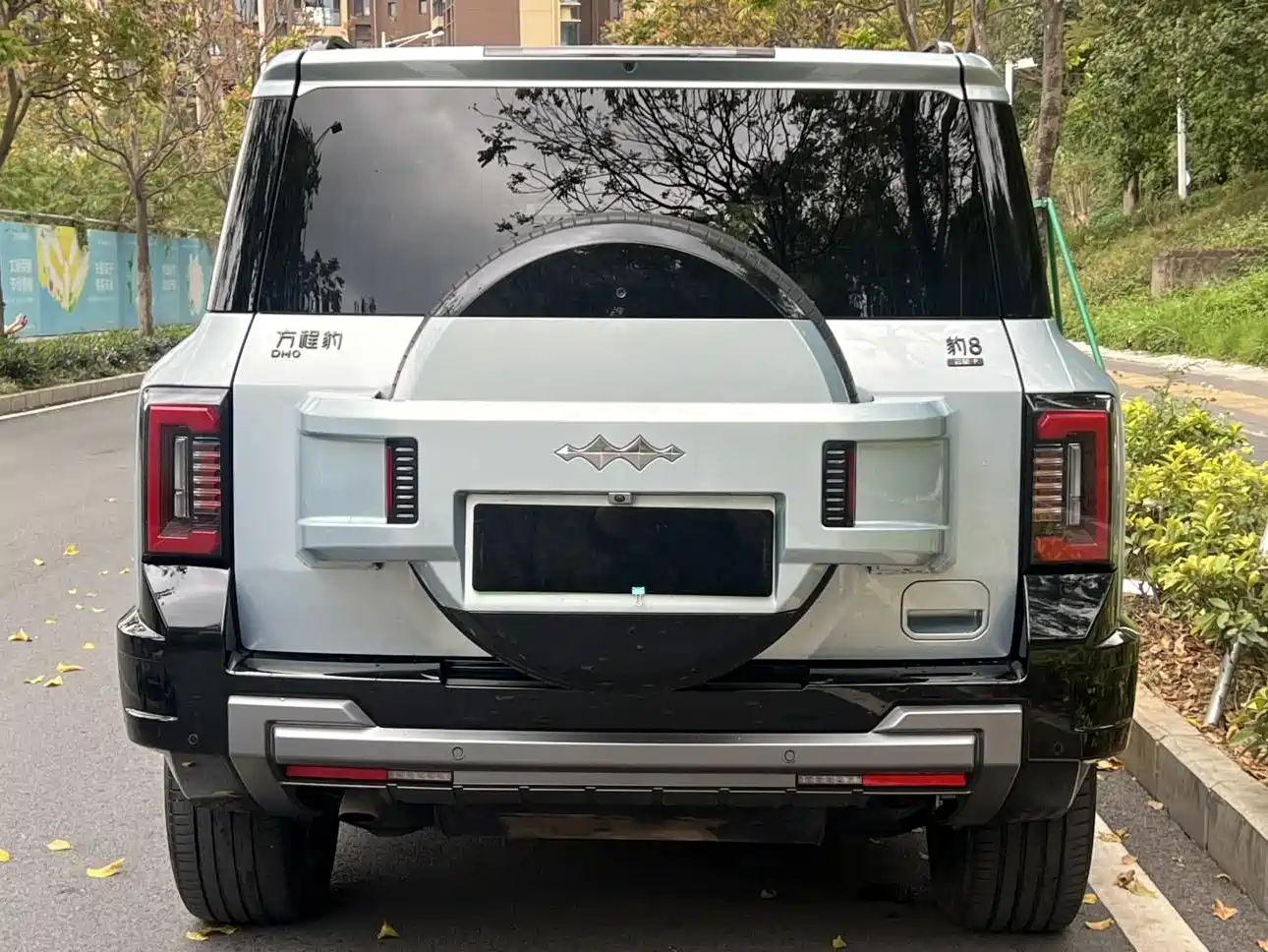 FANG CHENG BAO LEOPARD 8